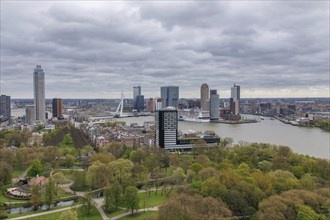 Panoramic view of a city with park, skyscrapers, bridge and river under a cloudy sky, view from