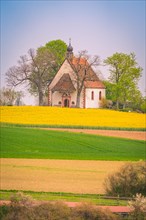 An idyllic chapel surrounded by blossoming fields and trees, framed by a blue sky with soft clouds,