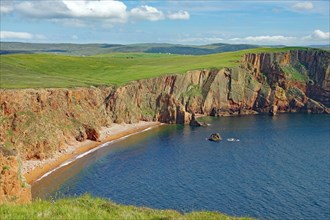 Red cliffs and green meadows, Shetland Islands, Hillswick, Eshaness, Scotland, Great Britain