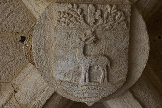 Worn stone relief of a stag under a tree in a niche, Grand Master's Palace, Knights' Town, Rhodes