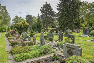 Graves, Weingarten City Cemetery, Offenburg, Baden-Wuerttemberg, Germany, Europe