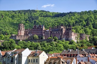 View of Heidelberg Castle from the Kornmarkt, Old Town of Heidelberg, Heidelberg,