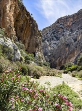 View of gorge with path hiking trail for trekking in Agiofarago gorge of the saints on south coast