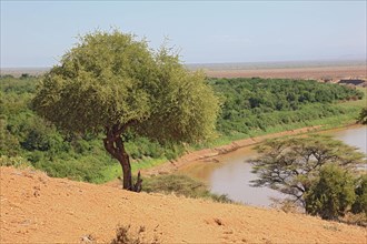 Southern Ethiopia, Omo Region, View of the Omo River, Omo Valley, Ethiopia, Africa