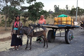 South Ethiopia, locals with donkey team, loaded with canisters of drinking water, Ethiopia, Africa