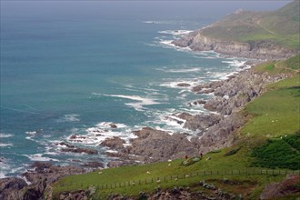 Rugged coastline with cliffs and green landscape, coastal footpath, Whitecome Bay, Cornwall, Great