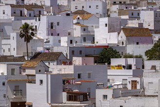 View from above of the houses in the white town of Vejer in the mountains, Andalusia, Spain, Europe