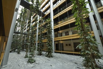 Plants, green inner courtyard, offices, interior view, European Parliament, 1 All. du Printemps,