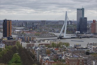 View of a cityscape with river, prominent bridge and skyscrapers under a cloudy sky, modern houses
