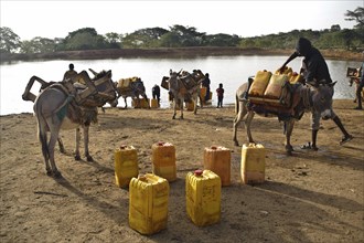 Villagers are collecting water in a pond, Oromia state, Ethiopia, Africa