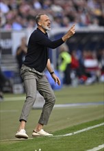 Coach Pellegrino Matarazzo TSG 1899 Hoffenheim engaged on the sidelines, gestures, gesture, PreZero