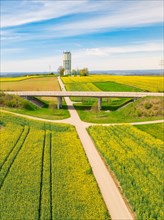 A country lane running through yellow and green fields with a bridge and a tower in the background