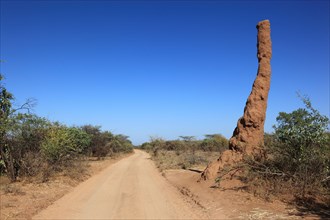 South Ethiopia, Omo Region, termite mound, termite burrow on a dusty country road, Ethiopia, Africa