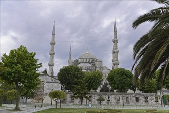 The Sultan Ahmet Mosque on a cloudy day, surrounded by palm trees, Istanbul, Istanbul Province,