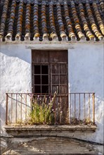 Old town with abandoned houses in southern architectural style, Arcos, Andalusia, Spain, Europe