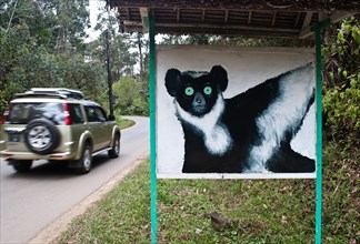 Signpost showing a lemur near a road that crosses a forest inhabited by different species of lemurs