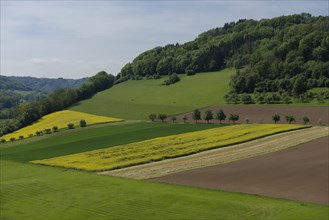 Middle Jagst valley in spring, May, river valley, river, Jagst, Mulfingen, Mulfingen-Heimhausen,