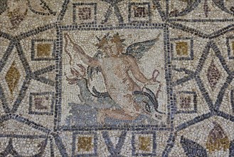 Eros riding a dolphin, Antique mosaic with a winged mythological figure in the centre, surrounded