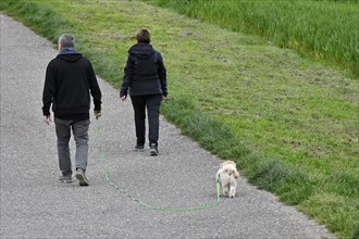 Couple walk with dog