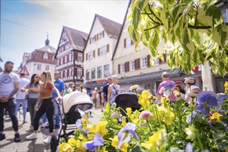 City scene with flowers and people, prams and half-timbered houses on a sunny spring day, Spring,