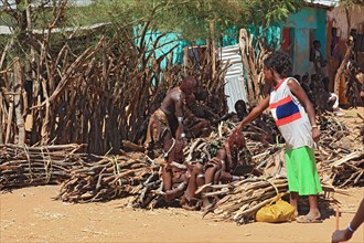 Southern Ethiopia, Omo region, market in the village of Turmi, the tribe of the Hamar, Hamer,