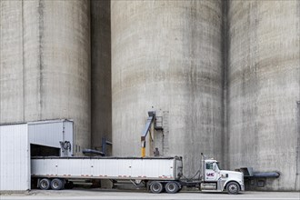 Webster City, Iowa, A truck driver loads corn from grain elevators