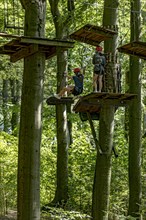 Group of young woman, girls climbing in the climbing forest, platforms, ropes, rope ladders, beech