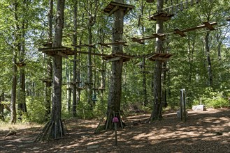 Platforms, ropes, rope ladders, suspension bridges, beech trees in the climbing forest, beech