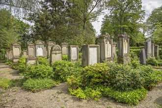 Gravestones, Jewish cemetery, Waldbachfriedhof, Offenburg, Baden-Wuerttemberg, Germany, Europe