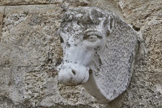 Stone sculpture of a horse's head, integrated into a stencil wall, outdoor area, Archaeological