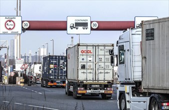 Trucks loaded with containers drive to Burchardkai in the Port of Hamburg, Hamburg, 11/02/2014