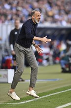 Coach Pellegrino Matarazzo TSG 1899 Hoffenheim engaged on the sidelines, gestures, gesture, PreZero