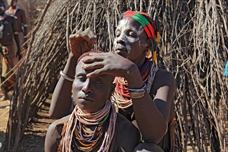 South Ethiopia, Omo region, among the Karo people, woman with jewellery and face painting styling