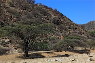 Southern Ethiopia, Omo Region, Landscape in a valley, Ethiopia, Africa