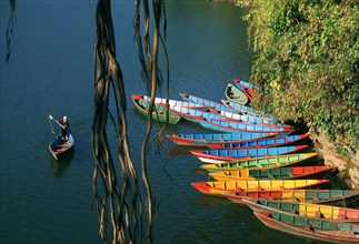 Boats, Phewa lake, Pokhara, Nepal, Asia