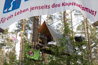Tree house with and banner For a life beyond capitalism! in the occupied forest section Tesla Stop