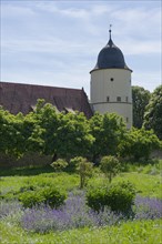 Monastery garden in Schoental, herb garden, herbal pharmacy, Way of St James, monastery pharmacy,