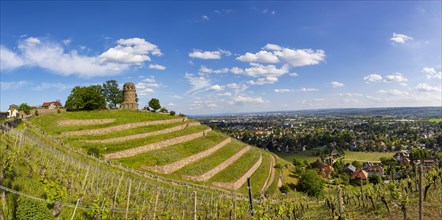 Winery at the Goldener Wagen. The Bismarck Tower in Radebeul, also known as the Bismarck Column, is