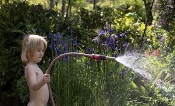 Boy, 5 years, blonde, watering flowers, spraying with garden hose, garden, summer, Stuttgart,