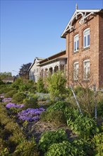 Front garden with blue blooming flowers of a brick building in Schafstedt, Dithmarschen district,