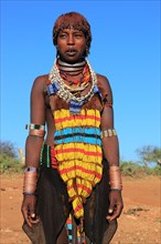 South Ethiopia, Omo region, young woman of the Hammer people, wears a lot of jewellery and her hair