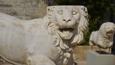 Stone statue of a standing lion, displayed outdoors, showing fine stone carving and details,