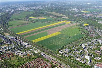 Aerial view, building area, housing construction, Oberbillwerder, Bergedorf, Hamburg, Germany,