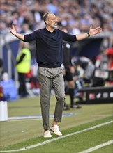 Coach Pellegrino Matarazzo TSG 1899 Hoffenheim engaged on the sidelines, gestures, gesture, PreZero