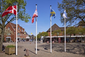 Scandinavian flags on the town hall square in Niebuell, Nordfriesland district, Schleswig-Holstein,
