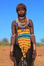 South Ethiopia, Omo region, young woman of the Hammer people, wears a lot of jewellery and her hair