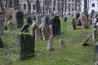 Gravestones, old Jewish cemetery, Jewish Museum, Josefstadt, Jewish Quarter, Prague, Bohemia, Czech