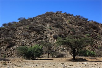 Southern Ethiopia, Omo Region, Landscape in a valley, Ethiopia, Africa