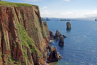 Red cliffs and green meadows, Shetland Islands, Scotland, Great Britain