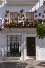 Decorative balcony with flowers and plants, Vejer, Andalusia, Spain, Europe